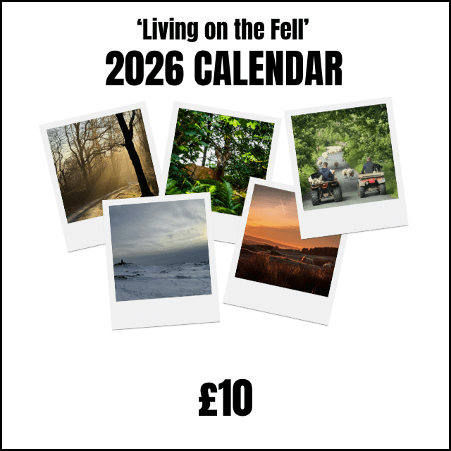 &quot;Living On The Fell&quot; 2026 Calendar